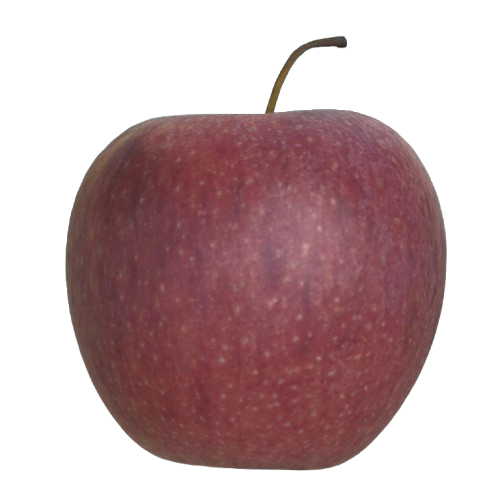 Apple reconstruction comparison