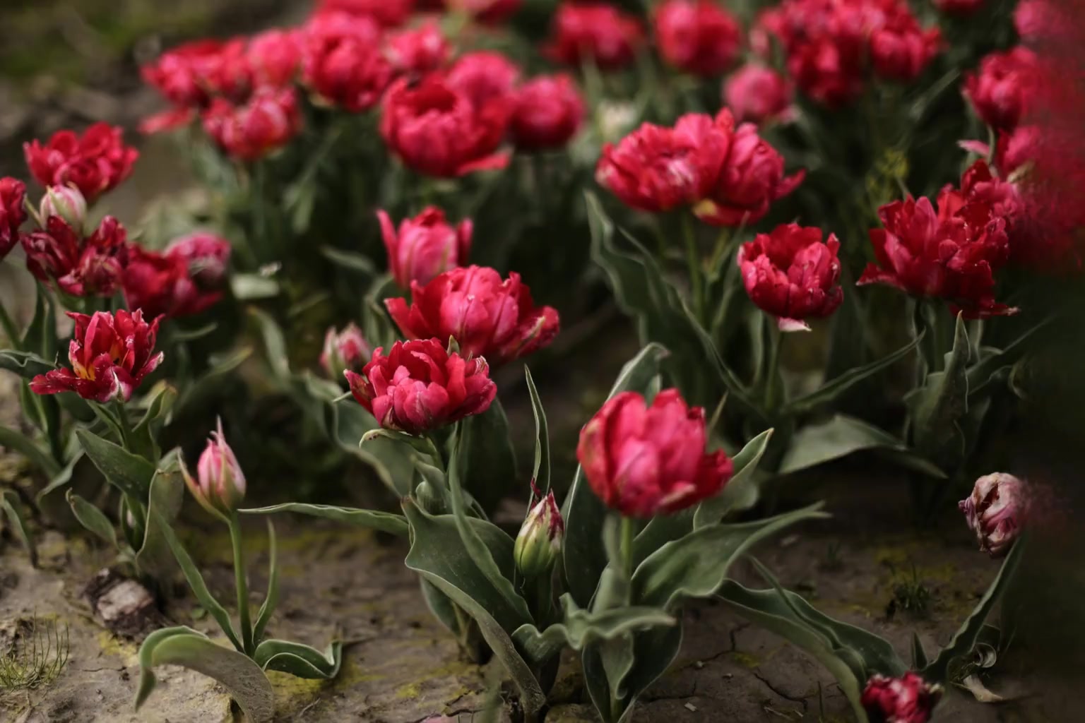 -591oIJnyEQ_0000-0001