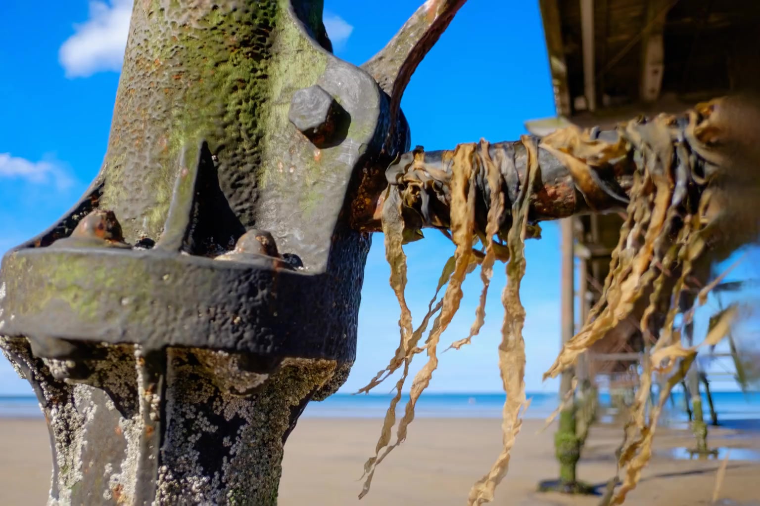 -5wkyNA2BPc_0000-0001