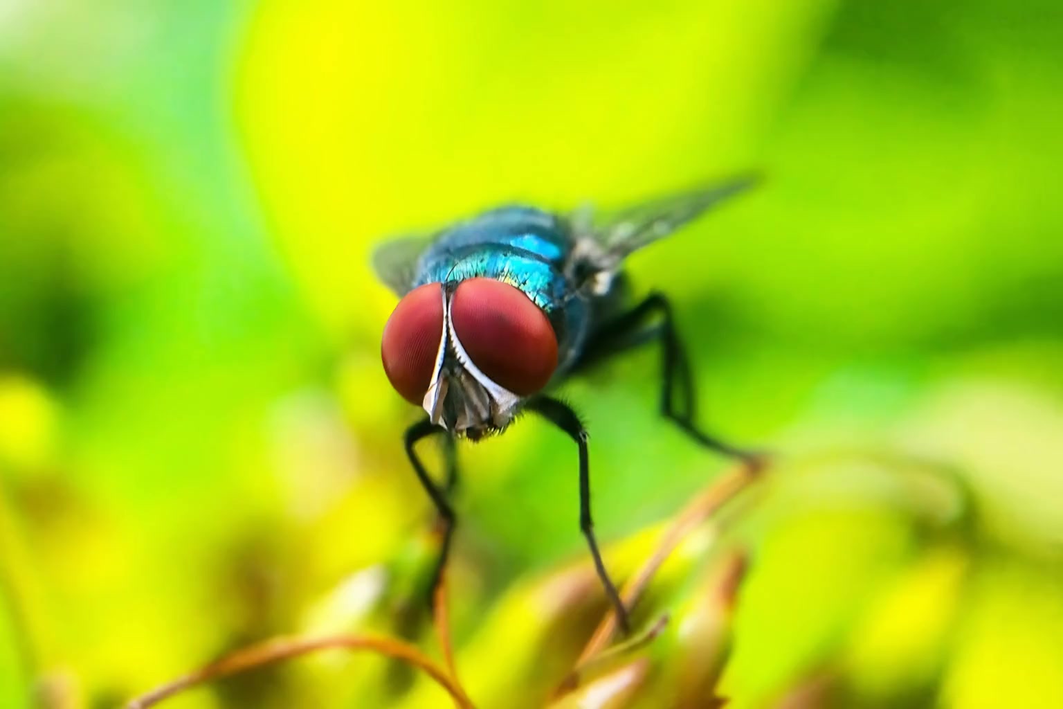 -6ebJNtXtWs_0000-0001