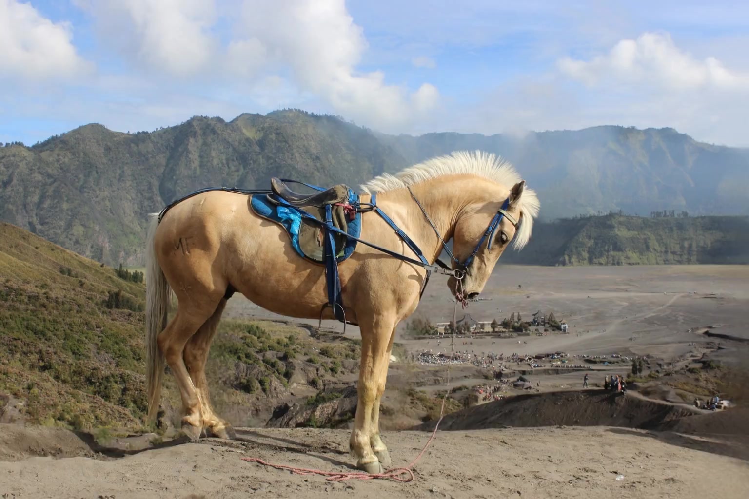 -B_lu05yfgE_0000-0001