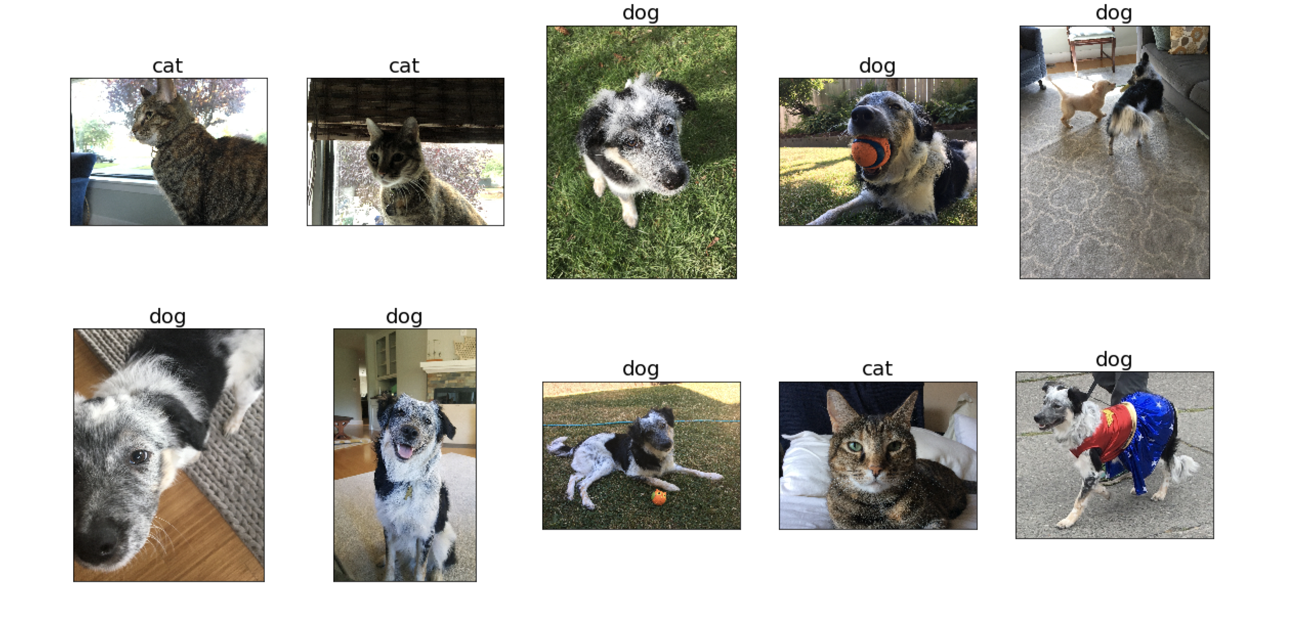 Image classifier predictions