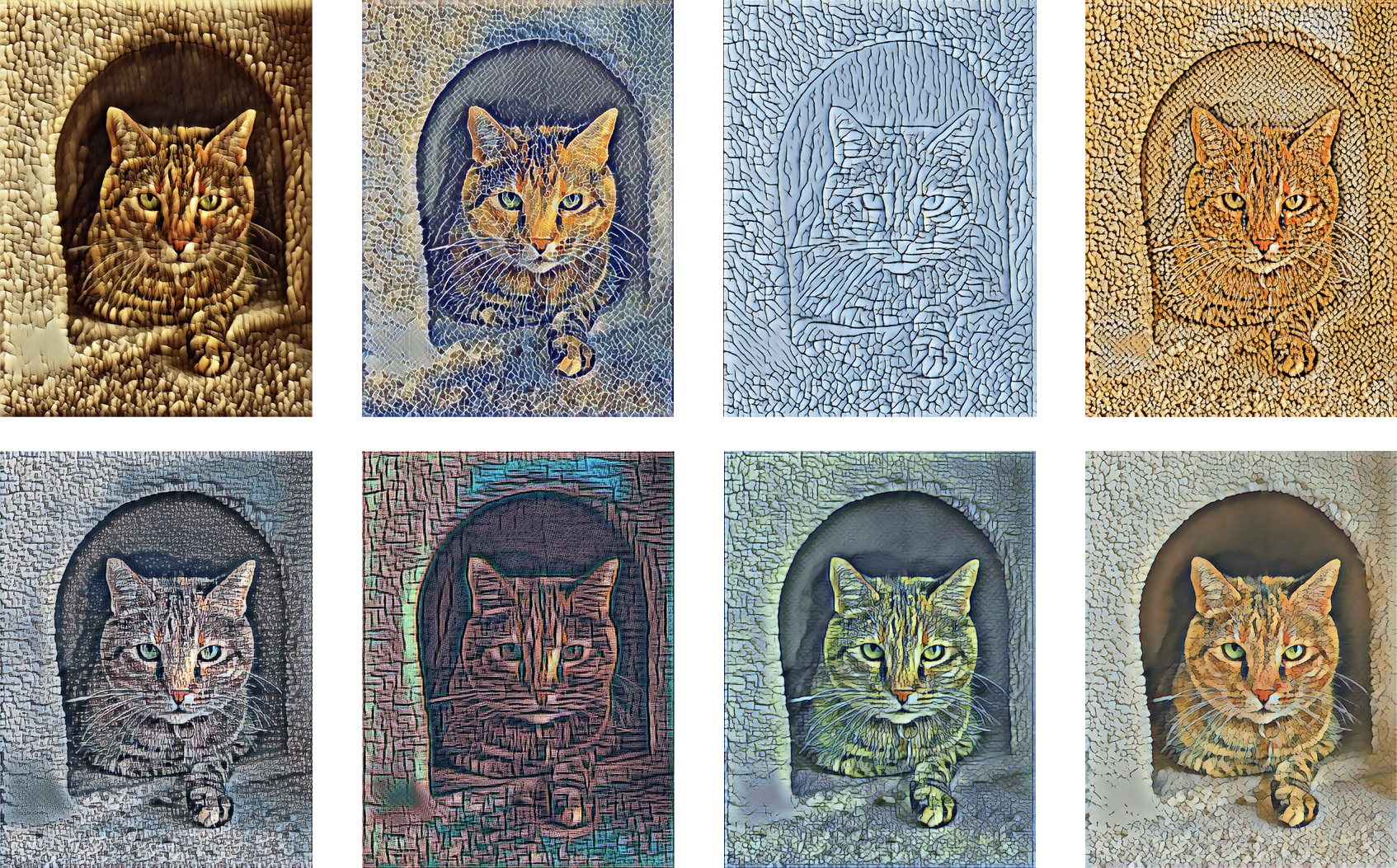 Photo of cat in different styles